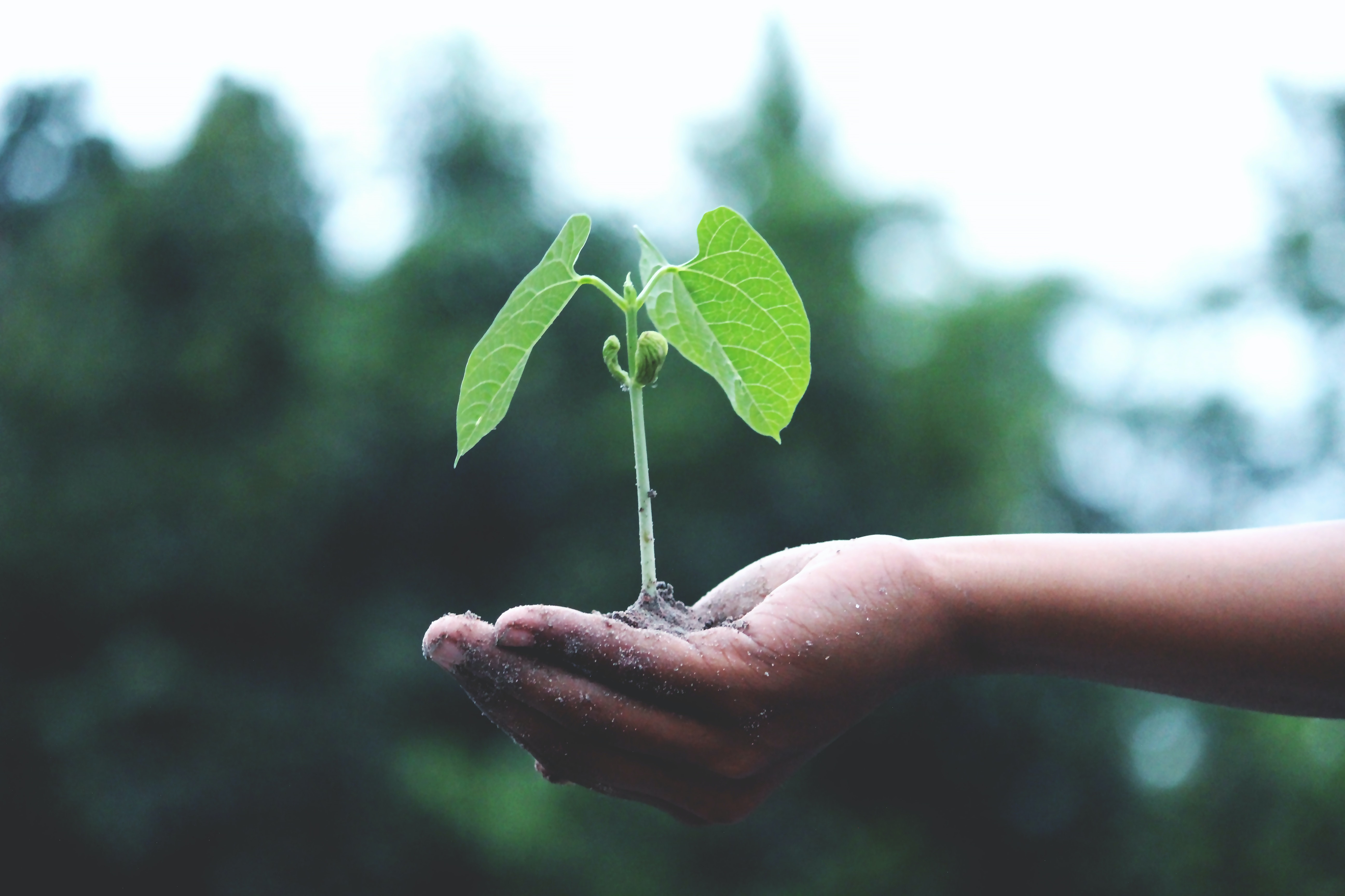 Marta Bigio Joins Weber Shandwick to Lead Sustainability Offering in Asia Pacific