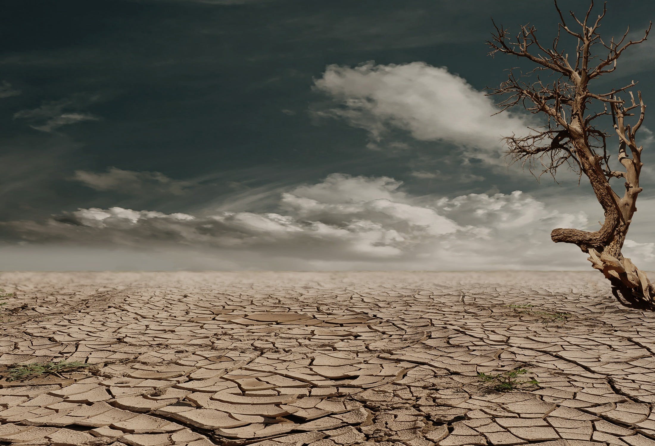 COP28 – Dec. 6